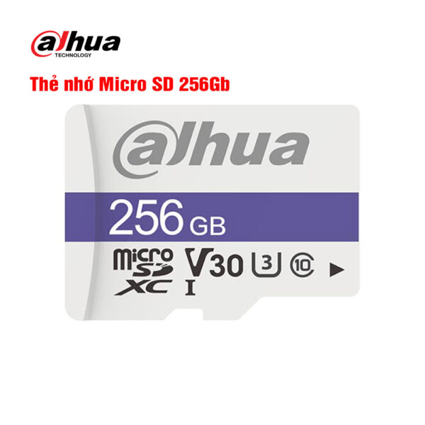 DHI-TF-C100 256GB